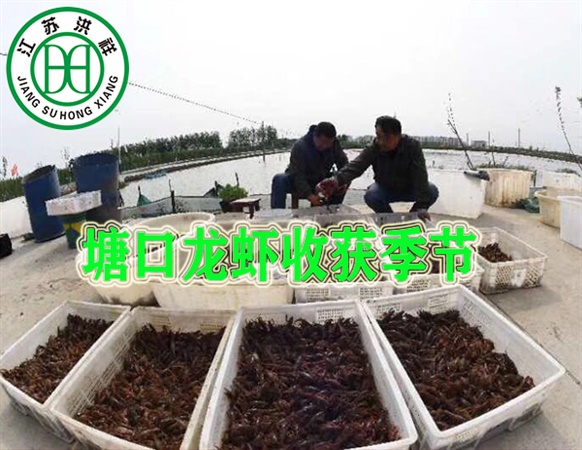 寶馬2系